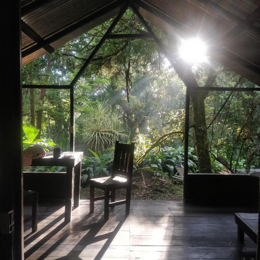 Los Mineros Guesthouse Dos Brazos Eksteriør billede