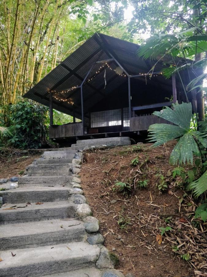 Los Mineros Guesthouse Dos Brazos Eksteriør billede