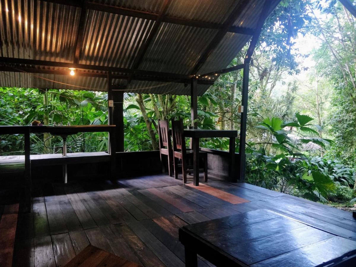 Los Mineros Guesthouse Dos Brazos Eksteriør billede