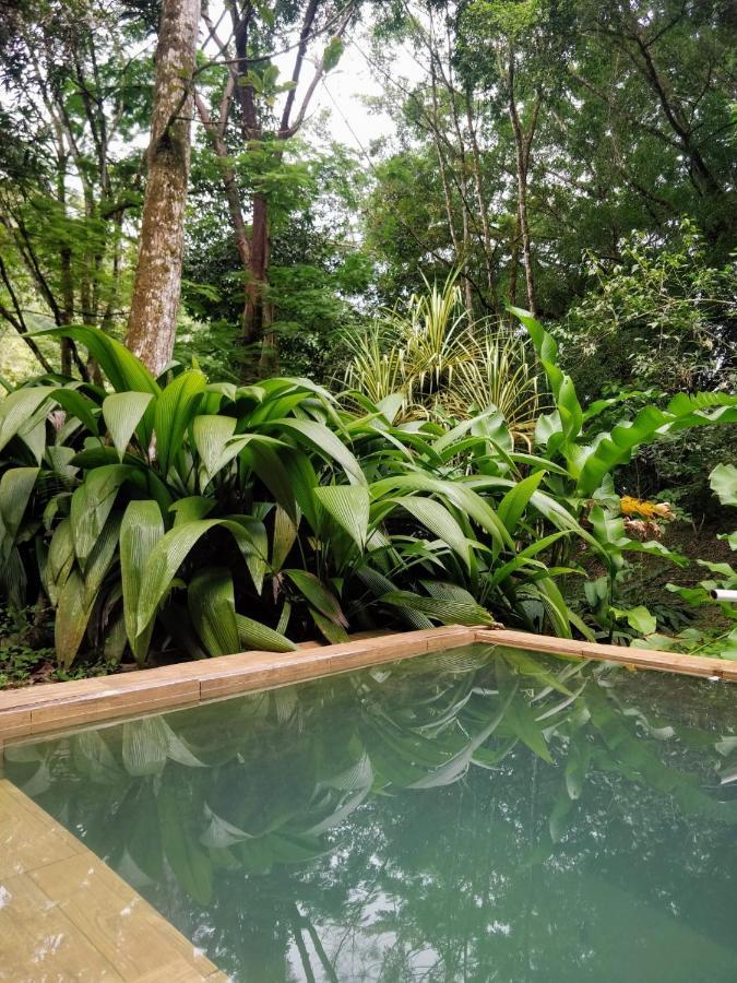 Los Mineros Guesthouse Dos Brazos Eksteriør billede