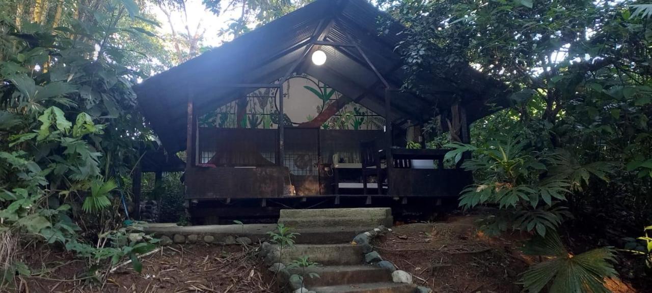 Los Mineros Guesthouse Dos Brazos Eksteriør billede