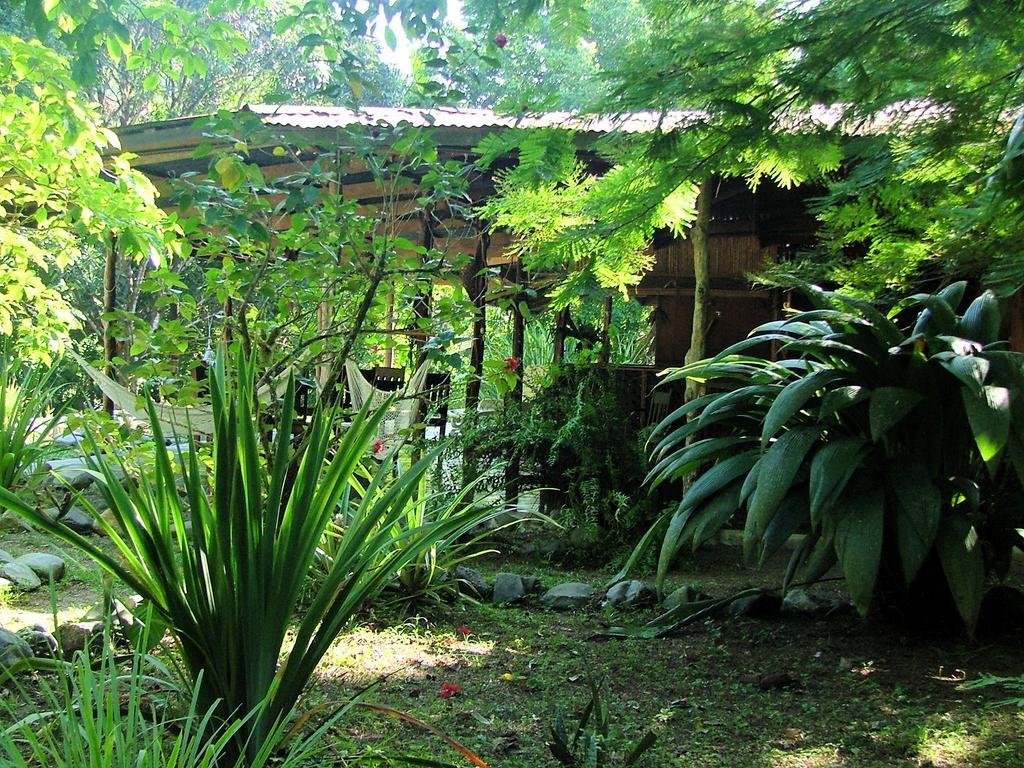 Los Mineros Guesthouse Dos Brazos Eksteriør billede