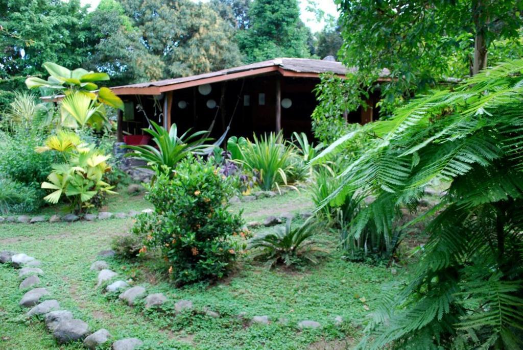 Los Mineros Guesthouse Dos Brazos Eksteriør billede