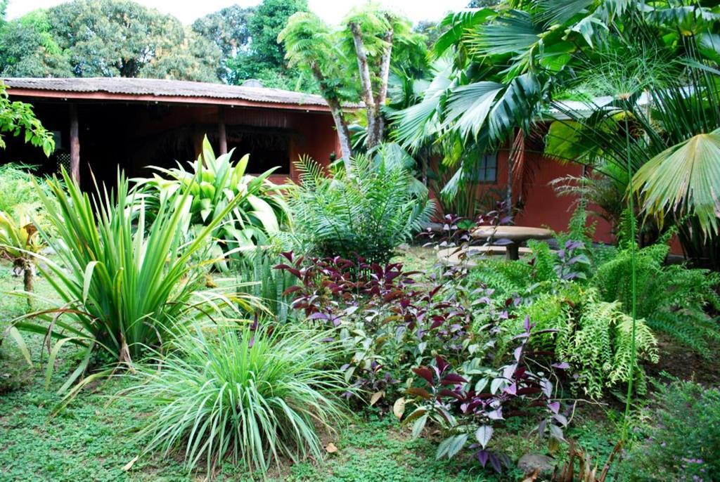 Los Mineros Guesthouse Dos Brazos Eksteriør billede