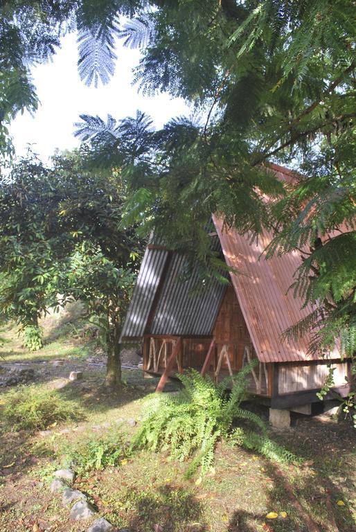 Los Mineros Guesthouse Dos Brazos Eksteriør billede
