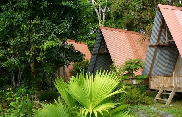 Los Mineros Guesthouse Dos Brazos Værelse billede