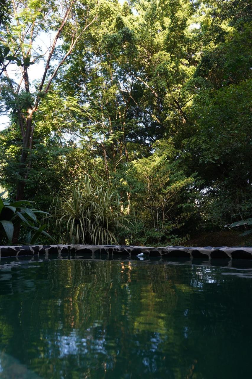 Los Mineros Guesthouse Dos Brazos Eksteriør billede