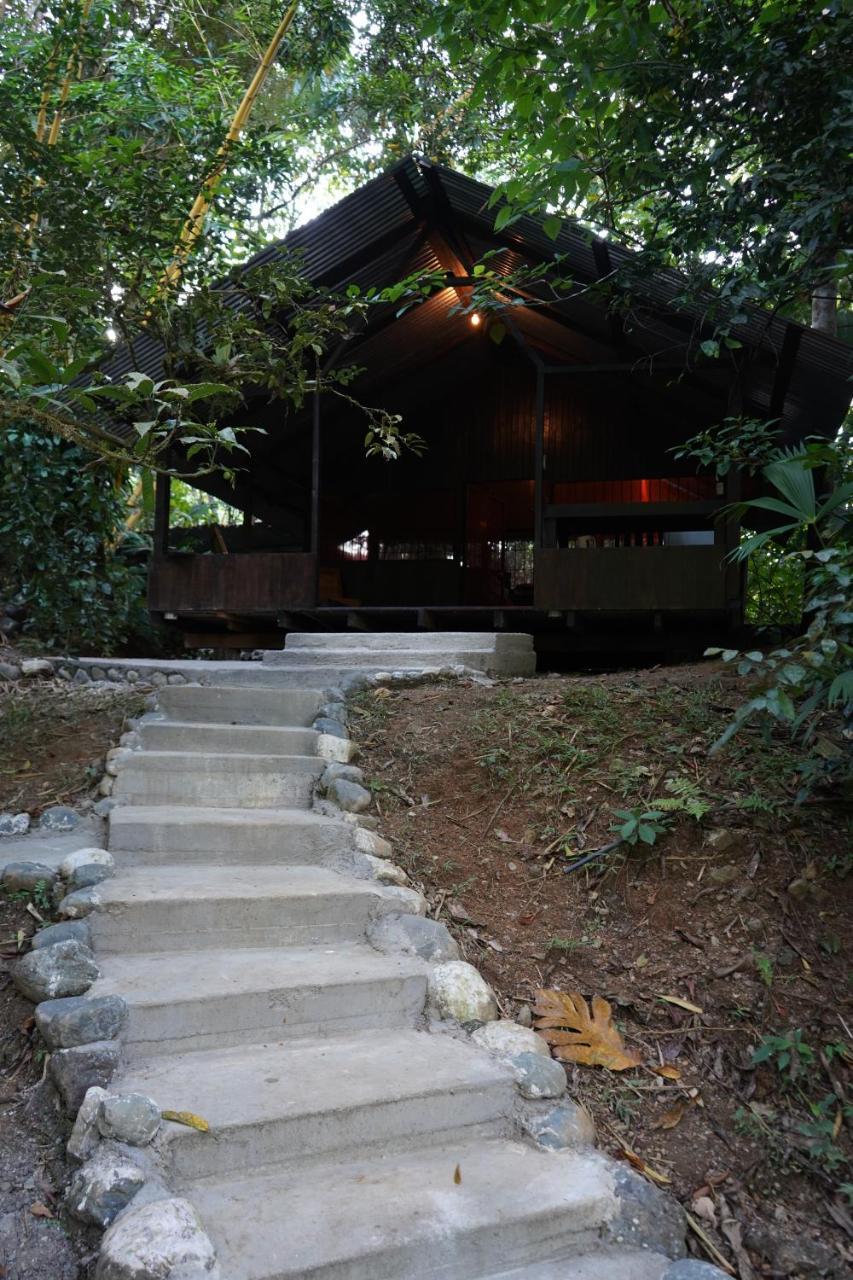 Los Mineros Guesthouse Dos Brazos Eksteriør billede